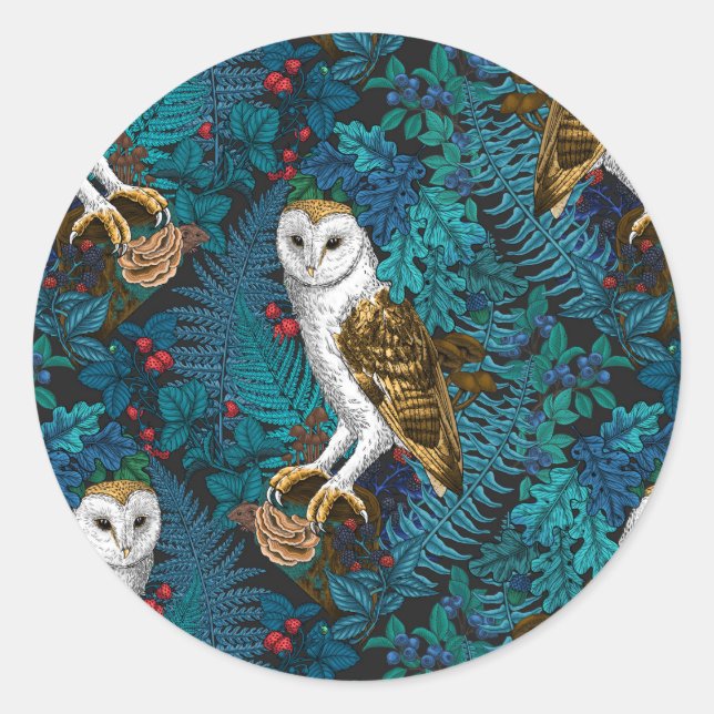 Owls, ferns, oak and berries 3 classic round sticker (Front)