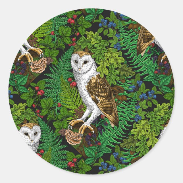Owls, ferns, oak and berries classic round sticker (Front)