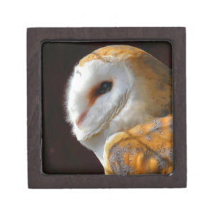 Owl Barn Gifts Gift Ideas Zazzle Uk