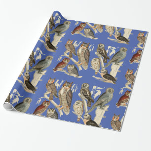 Owls Glossy Wrapping Paper