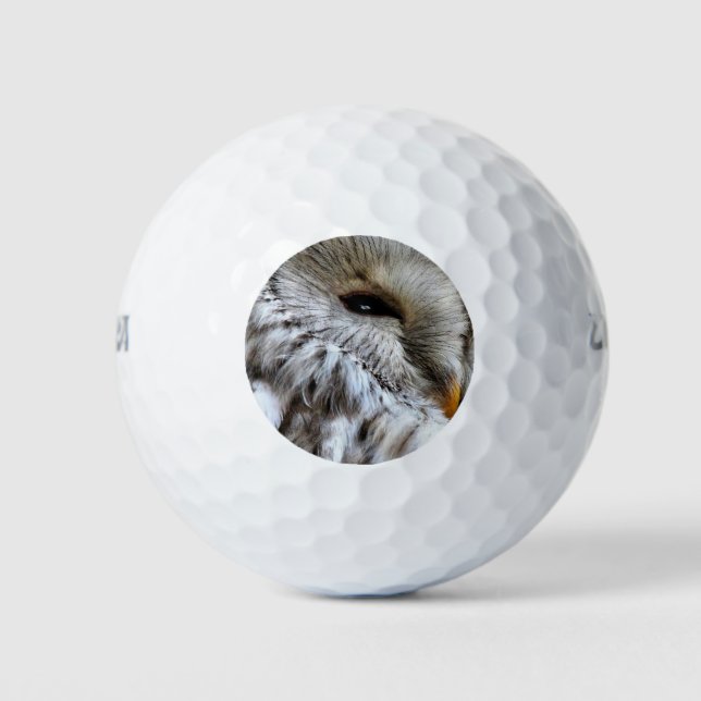 OWLS GOLF BALLS (Front)