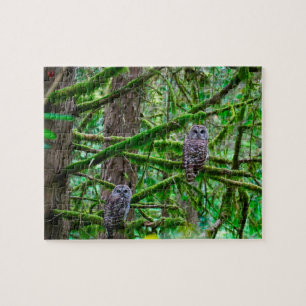 Owls in Oregon Jigsaw Puzzle