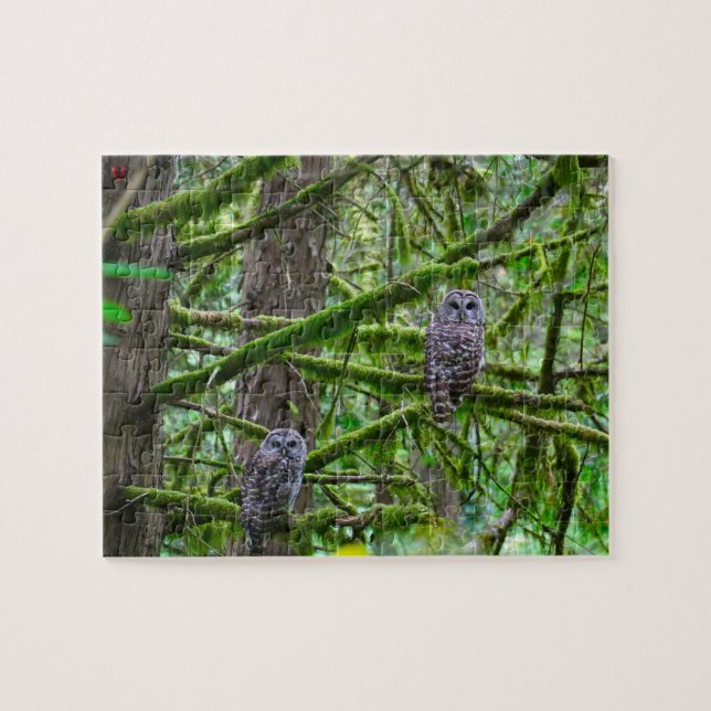 Owls in Oregon Jigsaw Puzzle (Horizontal)