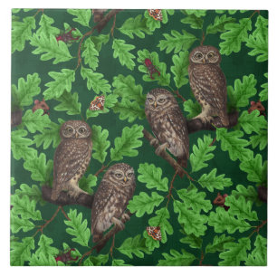 Owls in the forest on dark green tile
