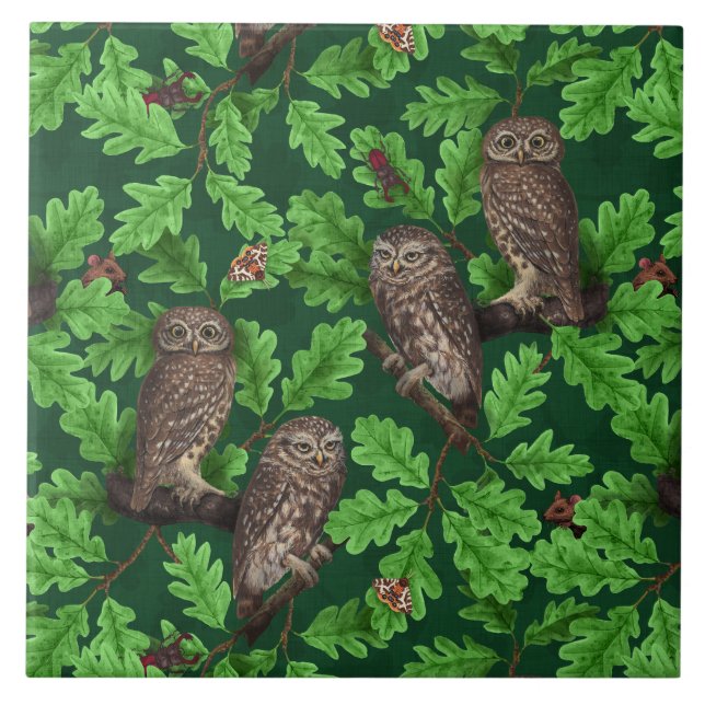 Owls in the forest on dark green tile (Front)