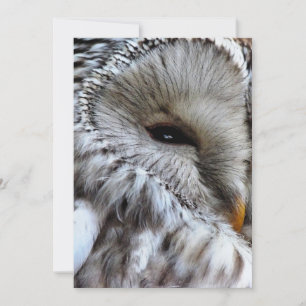 OWLS INVITATION