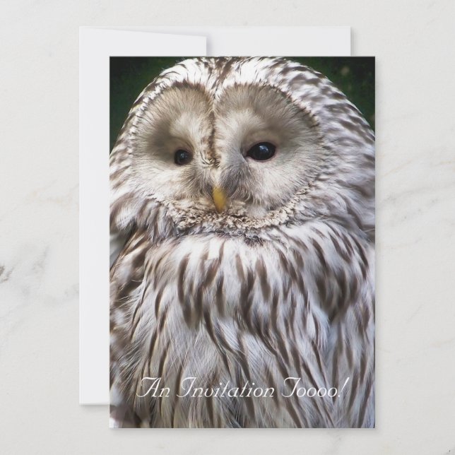 OWLS INVITATION (Front)