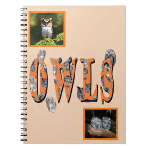Owls Is The Name,  Notebook