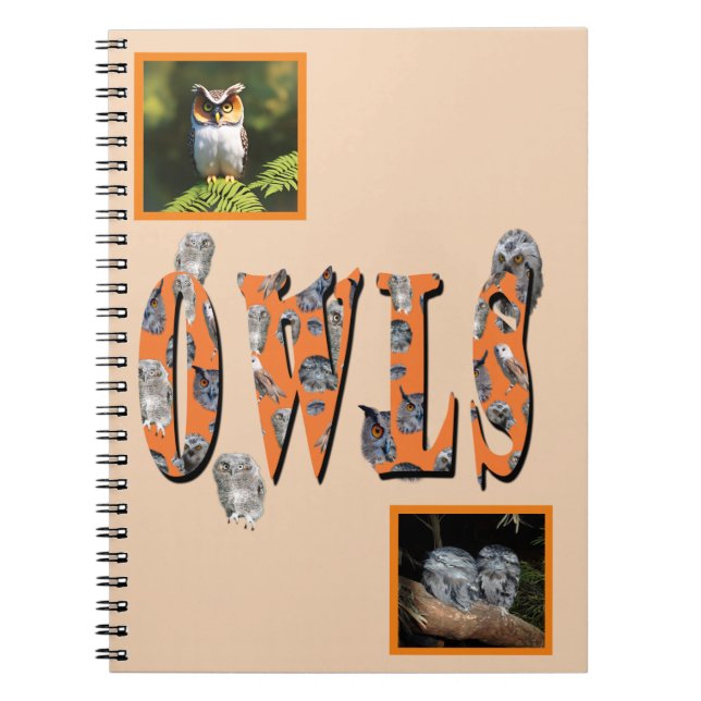 Owls Is The Name,  Notebook (Front)