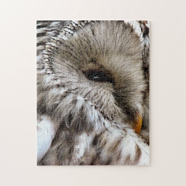 OWLS JIGSAW PUZZLE (Vertical)