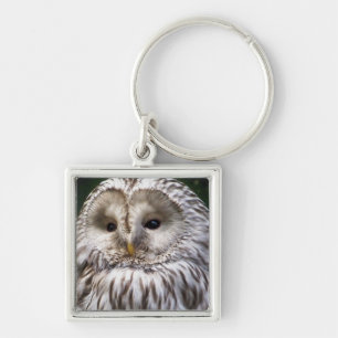 OWLS KEY RING