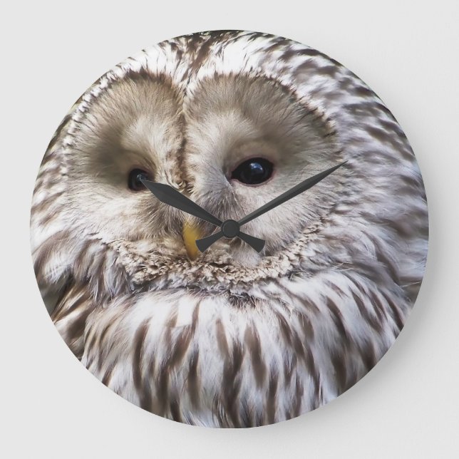 OWLS LARGE CLOCK (Front)