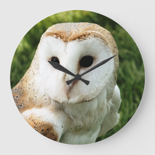 OWLS LARGE CLOCK (Front)