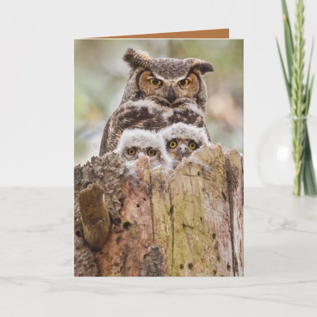 Owls Mothers Day Card (Front)