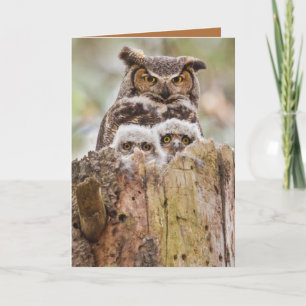 Owls Mothers Day Card