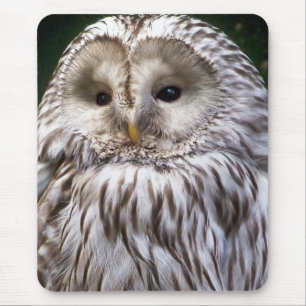 OWLS MOUSE MAT
