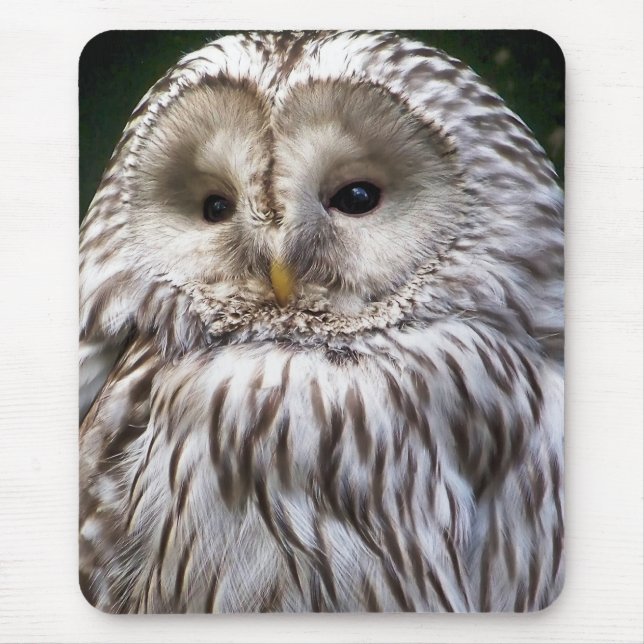 OWLS MOUSE MAT (Front)