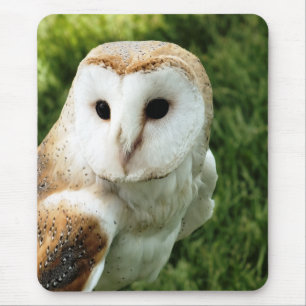OWLS MOUSE MAT