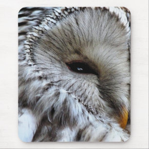 OWLS MOUSE MAT