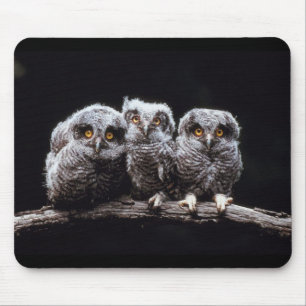 Owls Mouse Mat