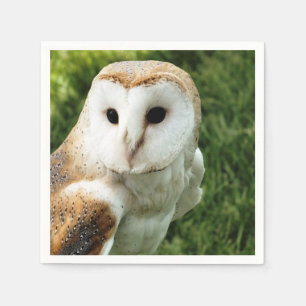 OWLS NAPKIN