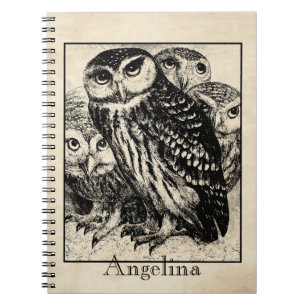 Owls Notebook