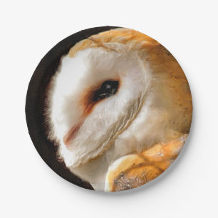 OWLS PAPER PLATE