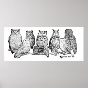 Owls Poster