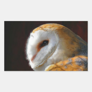 OWLS RECTANGULAR STICKER