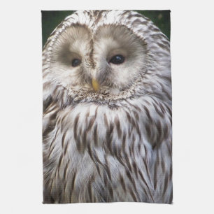 OWLS TEA TOWEL