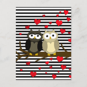 Owls - Valentines day design Holiday Postcard
