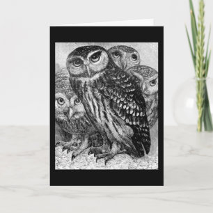 Owls, vintage engraving card
