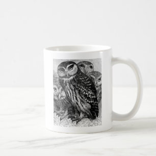 Owls, vintage engraving coffee mug
