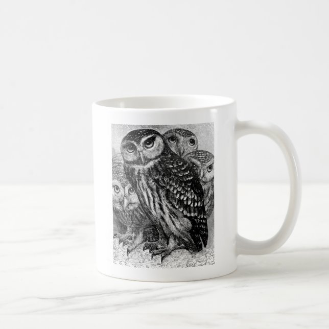 Owls, vintage engraving coffee mug (Right)