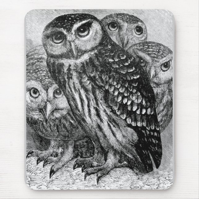 Owls, vintage engraving mouse mat (Front)