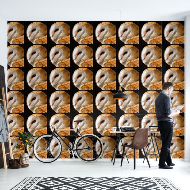 OWLS WALLPAPER (Living Room)