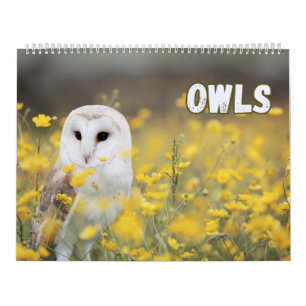 Owls with Beautiful Nature and Forest Scenes  Calendar