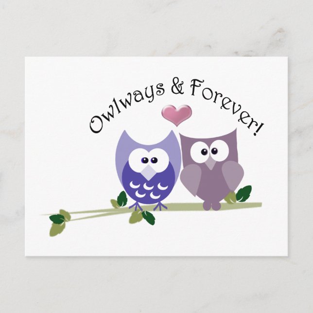 Owlways and Forever! Cute Owl design Postcard (Front)