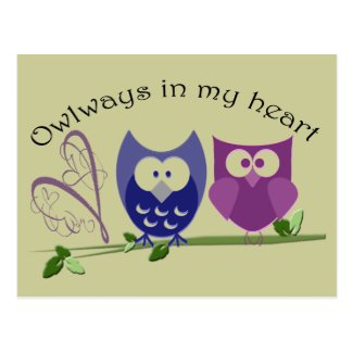 Owlways in my heart, cute Owl Gifts Postcard