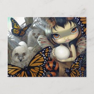 "Owlyn in the Nest" Postcard