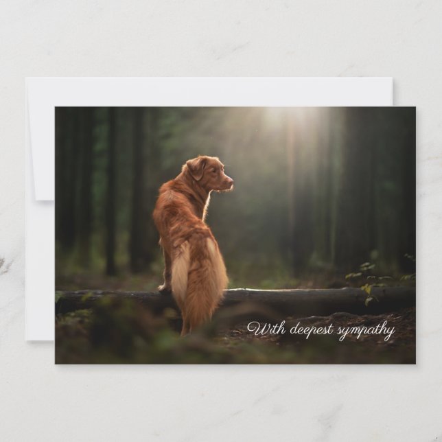 own dog photo image sympathy card (Front)