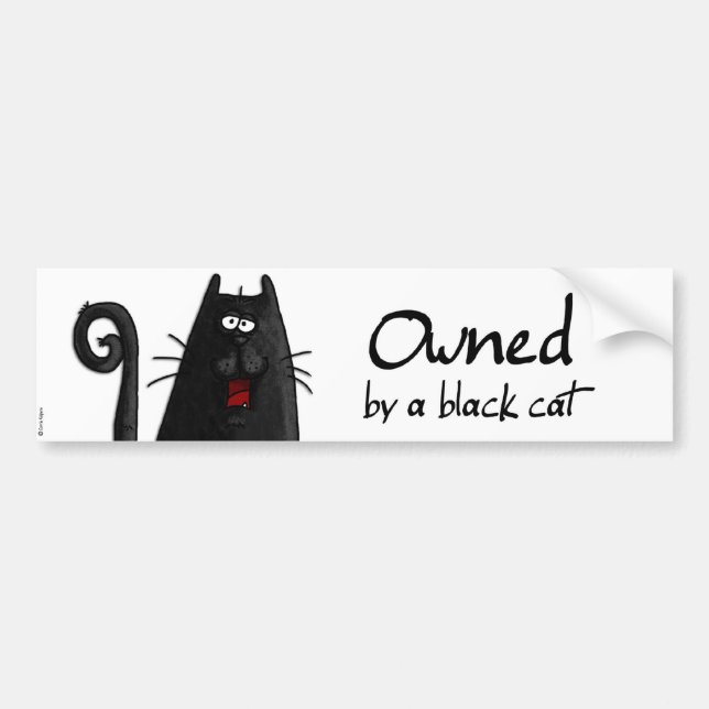 owned black cat bumper sticker (Front)