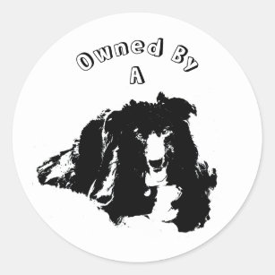 Owned By A Border Collie Cute Dog  Classic Round Sticker