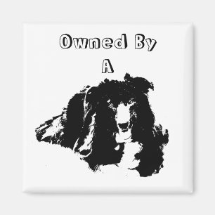 Owned By A Border Collie Cute Dog Magnet