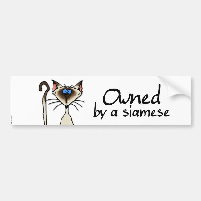owned by a siamese bumper sticker (Front)