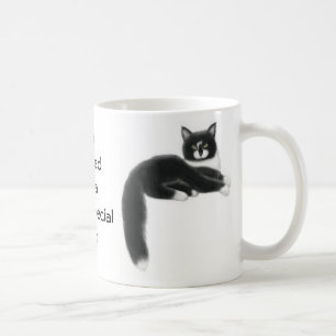 Owned by a Special Cat Mug