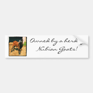 Owned by Goats Bumper Sticker