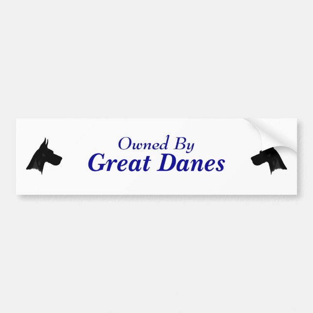 Owned By Great Danes Bumper Sticker (Front)