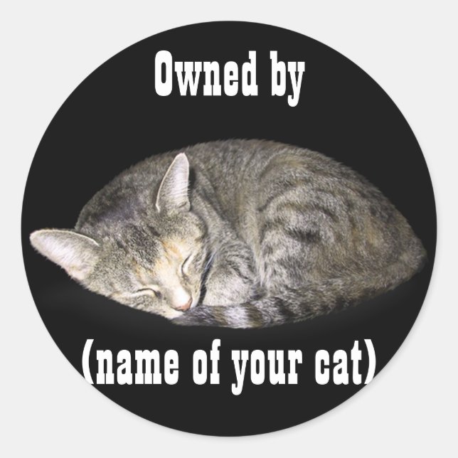 Owned by (name of your cat) classic round sticker (Front)