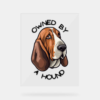 Owned by someone Basset Hound Acrylic Sign